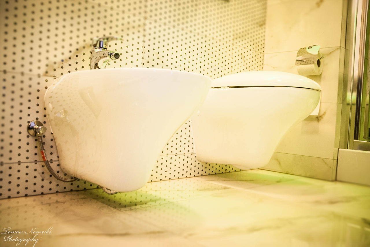 Hotel Drohicki Drohiczyn Δωμάτιο φωτογραφία